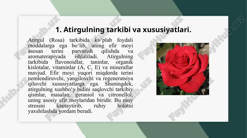 atirgulfan efirmoyi olish texnalogiyasi.pptx - Page 3