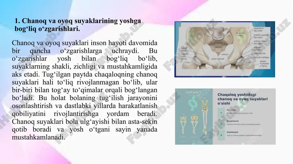 ydash, suzish kabi faoliyat turlari oyoq va chanoq suyaklarini mustahkamlab, ularning normal funksiyasini qo‘llab-quvvatlaydi. ayniqsa, jismoniy faollik suyaklarning zichligini oshirishi bilan birga, bo‘g‘imlarning harakatchanligini ham yaxshilaydi. keksalik davrida sport suyaklarni mustahkamlash va suyak yo‘qotilishini sekinlashtirish uchun muhim hisoblanadi. yoshi katta insonlar uchun maxsus mashqlar, suzish va yurish suyaklardagi minerallar kamayishini oldini oladi. bundan tashqari, sport mashg‘ulotlari qon aylanishini yaxshilaydi, bu esa suyak hujayralarining oziqlanishini ta’minlaydi. shu tariqa, chanoq va oyoq suyaklarining mustahkamligi uzoq yillar davomida saqlanib qolishi mumkin. shu bilan birga, ortiqcha yuklama va noto‘g‘ri bajarilgan mashqlar suyaklarga zarar yetkazishi mumkin. sport bilan shug‘ullanayotganda to‘g‘ri texnikani qo‘llash va tanaga ortiqcha bosim tushirmaslik lozim. xususan, professional sportchilar uchun oyoq va chanoq suyaklariga ortiqcha yuk tushishi ba’zan jarohatlarga olib kelishi mumkin. shu sababli, sport mashg‘ulotlarini mutaxassislar nazorati ostida bajarish tavsiya etiladi. jismoniy faollikni muntazam saqlash, to‘g‘ri ovqatlanish va sog‘lom turmush tarziga rioya qilish chanoq va oyoq suyaklarining mustahkamligi uchun eng muhim omillardandir. …