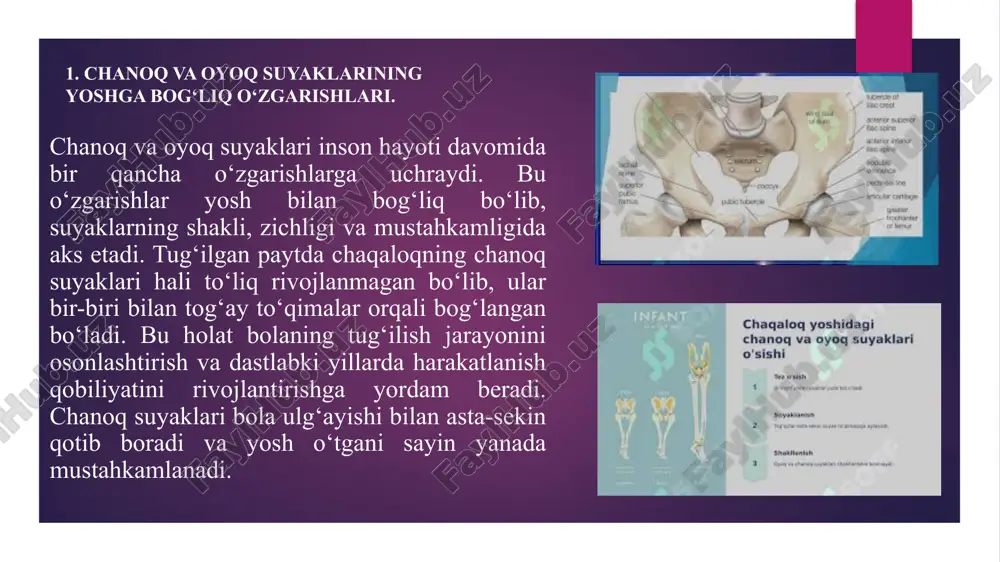 ydash, suzish kabi faoliyat turlari oyoq va chanoq suyaklarini mustahkamlab, ularning normal funksiyasini qo‘llab-quvvatlaydi. ayniqsa, jismoniy faollik suyaklarning zichligini oshirishi bilan birga, bo‘g‘imlarning harakatchanligini ham yaxshilaydi. keksalik davrida sport suyaklarni mustahkamlash va suyak yo‘qotilishini sekinlashtirish uchun muhim hisoblanadi. yoshi katta insonlar uchun maxsus mashqlar, suzish va yurish suyaklardagi minerallar kamayishini oldini oladi. bundan tashqari, sport mashg‘ulotlari qon aylanishini yaxshilaydi, bu esa suyak hujayralarining oziqlanishini ta’minlaydi. shu tariqa, chanoq va oyoq suyaklarining mustahkamligi uzoq yillar davomida saqlanib qolishi mumkin. shu bilan birga, ortiqcha yuklama va noto‘g‘ri bajarilgan mashqlar suyaklarga zarar yetkazishi mumkin. sport bilan shug‘ullanayotganda to‘g‘ri texnikani qo‘llash va tanaga ortiqcha bosim tushirmaslik lozim. xususan, professional sportchilar uchun oyoq va chanoq suyaklariga ortiqcha yuk tushishi ba’zan jarohatlarga olib kelishi mumkin. shu sababli, sport mashg‘ulotlarini mutaxassislar nazorati ostida bajarish tavsiya etiladi. jismoniy faollikni muntazam saqlash, to‘g‘ri ovqatlanish va sog‘lom turmush tarziga rioya qilish chanoq va oyoq suyaklarining mustahkamligi uchun eng muhim omillardandir. …