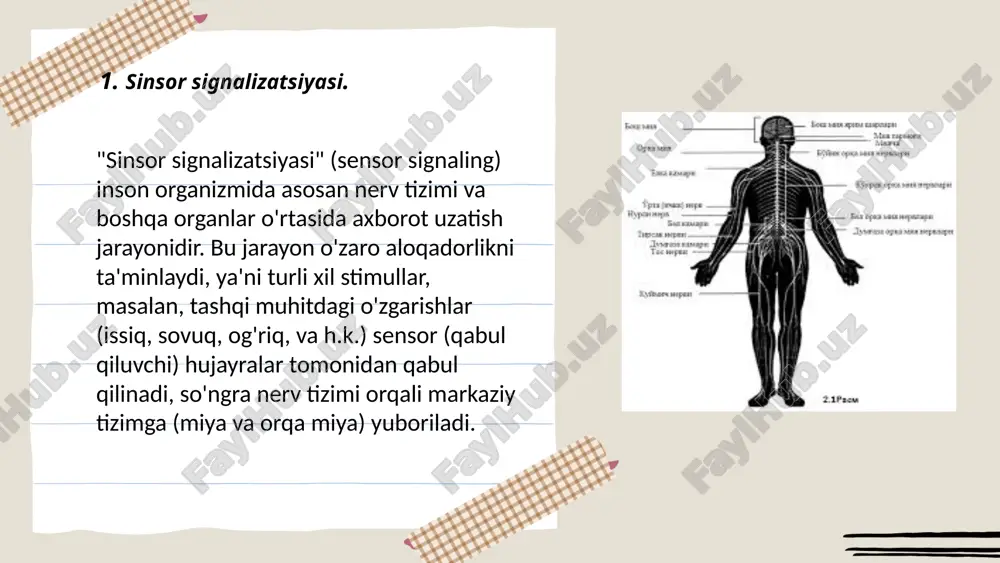 sinsor signallarning oʻzaro aloqadorligi.pptx - Page 3