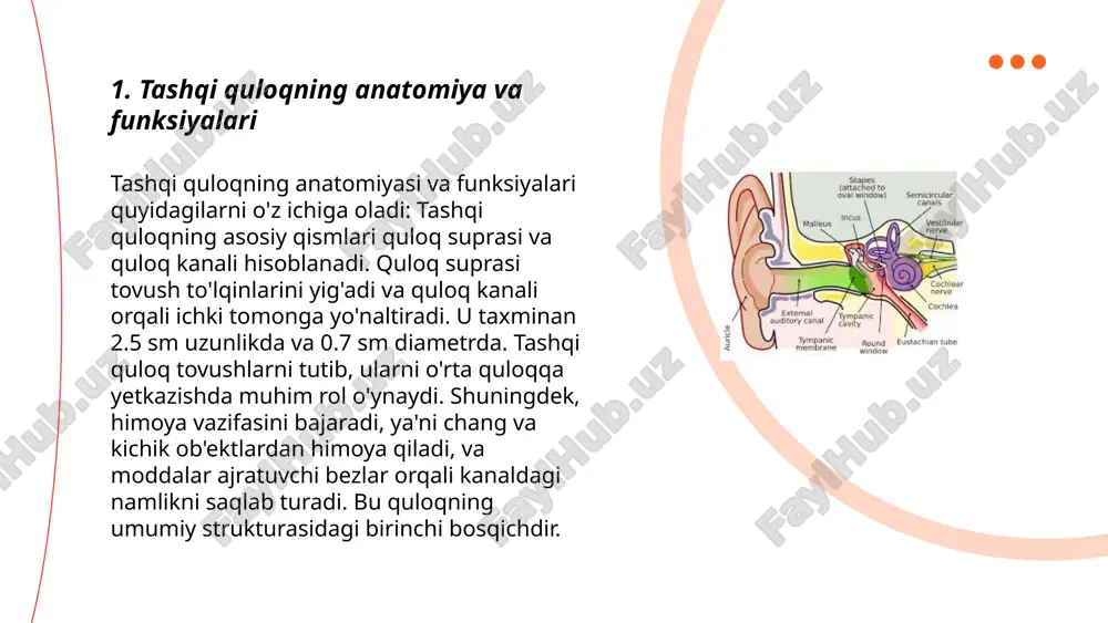 ez va to‘g‘ri davolanmasa, infeksiya kuchayishi mumkin. kasallikdan saqlanish uchun quloqni quruq va toza saqlash tavsiya etiladi. ... t.me/slaydai_bot o‘rta quloq uchta asosiy suyakdan iborat: bolg‘acha (malýus), örgi qoshiği (incus) va üzyurṭgüch (stapes). uyingiz toy mashinasi ko‘rinishidagi bu suyaklar tovush to‘lqinlarini banglaydi va ko‘rkliydan ichki quloqqa uzatadi. o‘rta quloqda qolib joylashgan evstaxi quvuri bosimni tenglashtiradi, quloq pardasini himoya qiladi. shuningdek, o‘rta quloq tana haroratiga, bosimlanuvchi to‘lqinlarga javob beradi, yurish va boshqaruvda muhim rol o‘ynaydi. o‘rta quloqdagi suyuqlik yoki infeksiya eshitish qobiliyatini vaqtincha yo‘qotishga olib kelishi mumkin. ushbu qismlar birgalikda ishlash orqali tovushni aniqlash va aqlan tushunishga yordam beradi. ... t.me/slaydai_bot 7. otitis media va o'rta quloq yallig'lanishi o‘rta quloq yallig‘lanishi (otitis media) – quloq orqasidagi havo bilan to‘lgan bo‘shliqning yallig‘lanishidir. bu holat asosan bolalar orasida keng tarqalgan kasallik bo‘lib, odatda 6 oylikdan 3 yoshgacha bo‘lgan bolalarda ko‘proq uchraydi. statistik ma'lumotlarga ko‘ra, bolalarning taxminan 80% kamida bir marta otitis media bilan …