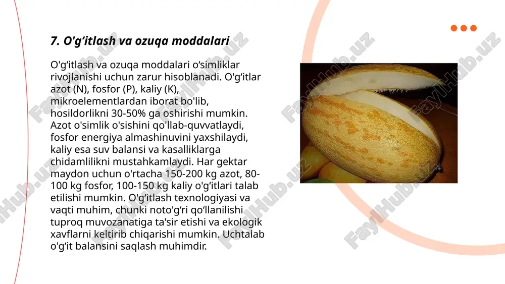 , masalan, gen muhandisligi orqali hosildor navlarni yaratish ham dolzarb. dronlar va sun’iy yo‘ldoshlar yordamida ekinlarning rivojlanishini kuzatish va o‘g‘itlashni optimallashtirish mumkin. ... t.me/slaydai_bot yapon saforasi (sophora japonica) o'simligi, odatda osiyo mintaqasida uchraydi va qimmatbaho bo'lib, xitoy tabobatida keng qo'llaniladi. yapon saforasini himoya qilish hozirgi kunda muhimdir, chunki bu o'simlikning tabiiy areallari qisqarib bormoqda. faqatgina xitoyda tabiiy o'sish yer maydonlari 20% ga kamaygan. 1970-yildan beri dunyo bo'ylab yapon saforasi o'sadigan hududlar yillik 5% dan kamaymoqda. uning ta'riflangan 450 ga yaqin turi bo'lib, 40 dan ortig'i xavf ostida. tabiy sharoitlarni qayta tiklash va biologik xilma-xillikni saqlash orqali bu o'simlik turlarini himoya qilish dolzarb bo'lib turibdi. ... t.me/slaydai_bot 13. safora daraxtini parvarish qilishda ekologik omillar safora daraxtini parvarish qilishda ekologik omillar muhim ahamiyatga ega. ushbu daraxtlar quyosh nuriga boy joylarda yaxshi o‘sadi va harorat 20-30°c atrofida bo‘lishi kerak. tuproq namligi o‘rtacha darajada saqlanishi, ph 6-7,5 oralig‘ida bo‘lishi zarur. sug‘orish haftada bir marta …