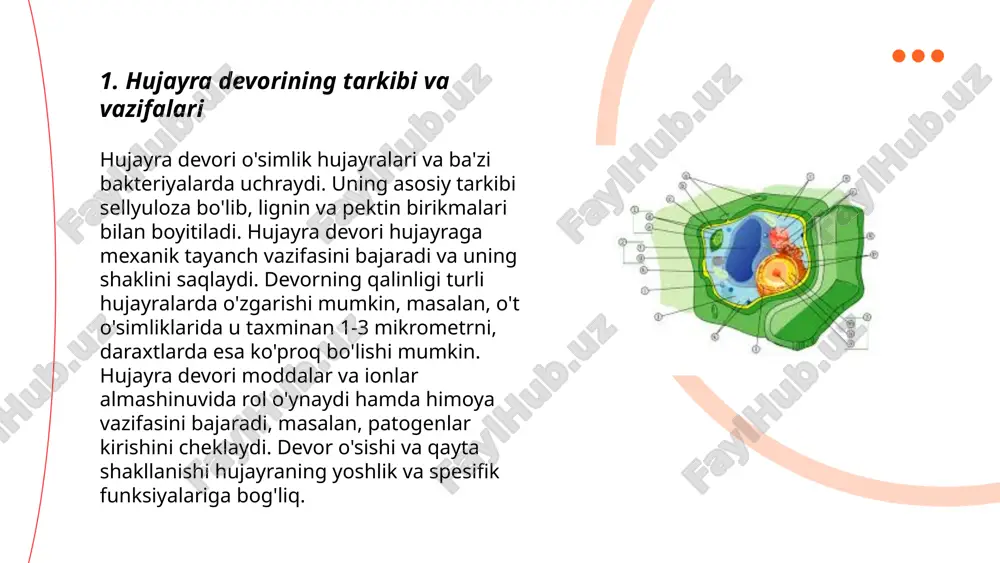 qali moddalar oqimi bo‘lib, u energiya talab qilmaydi. bu protsess konsentratsiya gradienti bo‘yicha amalga oshiriladi va diffuziya, osmoz va fasilitatsiya qilingan diffuziyani o‘z ichiga oladi. diffuziya suv, gaz va kichik gidrofobik molekulalar kabi moddalarning katta konsentratsiyadan kichik konsentratsiyaga o‘tishini anglatadi. osmoz suvning yarim o‘tkazuvchan membrana orqali harakati bo‘lib, ular konsentratsiyasi farqiga qarab o‘tadi. fasilitatsiya qilingan diffuziyada esa transport proteinlari yordamida katta yoki qutbli molekulalar o‘tkaziladi. passiv transport hujayra uchun juda muhim, chunki u muhit bilan modda almashinuvini soddalashtiradi. ... t.me/slaydai_bot faol transport hujayra membranalari orqali moddalarni energiya sarflab tashqariga yoki ichkariga o'tkazish jarayonidir. bu jarayon atp energiyasidan foydalanib, moddalarning konsentratsiya gradientiga qarshi harakatlanishini ta'minlaydi. misol sifatida, natriy-kaliy pompasi hujayra ichida kaliy ionlarini to'plab, natriy ionlarini hujayradan chiqaradi. membranadagi oqsillar taqsimlovchi sifatida ishlaydi, bu esa ionlar va molekulalar harakatini nazorat qilish imkonini beradi. faol transport orqali hujayra ichidagi kimyoviy muvozanatni saqlash, oziqa moddalari va ionlarni talab qilingan joylarga yetkazish mumkin bo'ladi. …
