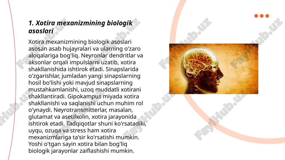 sh tarzi muhim ahamiyatga ega. ... t.me/slaydai_bot qarilikda xotira pasayishi bir nechta sabablarga ko'ra yuzaga keladi. keksayish jarayonida miya hujayralari o'zining yoshga bog'liq pasayishini boshdan kechiradi. altsgeymer kasalligi, parkinson kasalligi yoki boshqa nevrodegenerativ kasalliklar, shuningdek, demans xotira zaiflashuviga olib kelishi mumkin. kognitiv faoliyatning pasayishi miyaning neyrokimyoviy muvozanatining buzilishi, jumladan, dopamin va serotonin kabi neyrotransmitterlar darajasining kamayishi bilan bog'liq bo'lishi mumkin. o'tkazilgan tadqiqotlar shuni ko'rsatmoqdaki, 65 yoshdan oshgan odamlarning taxminan 15 foizida kognitiv qobiliyatlar sezilarli darajada pasayadi. stress, uyqusizlik va to'g'ri ovqatlanmaslik ham xotira pasayishiga hissa qo'shadi. ... t.me/slaydai_bot 7. xotira turlari va ularning yoshga qarab farqlanishi xotira turlari uchta asosiy turga bo'linadi: qisqa muddatli, uzoq muddatli va hissiy xotira. qisqa muddatli xotira odatda bir necha soniyadan bir necha daqiqagacha davom etadi va yangi ma'lumotni eslab qolish uchun ishlatiladi. uzoq muddatli xotira esa yillar davomida saqlanadi va kengroq bilimlar bazasini ta'minlaydi. hissiy xotira esa voqealarga nisbatan hissiyotlar asosida shakllanadi. yoshga qarab, …