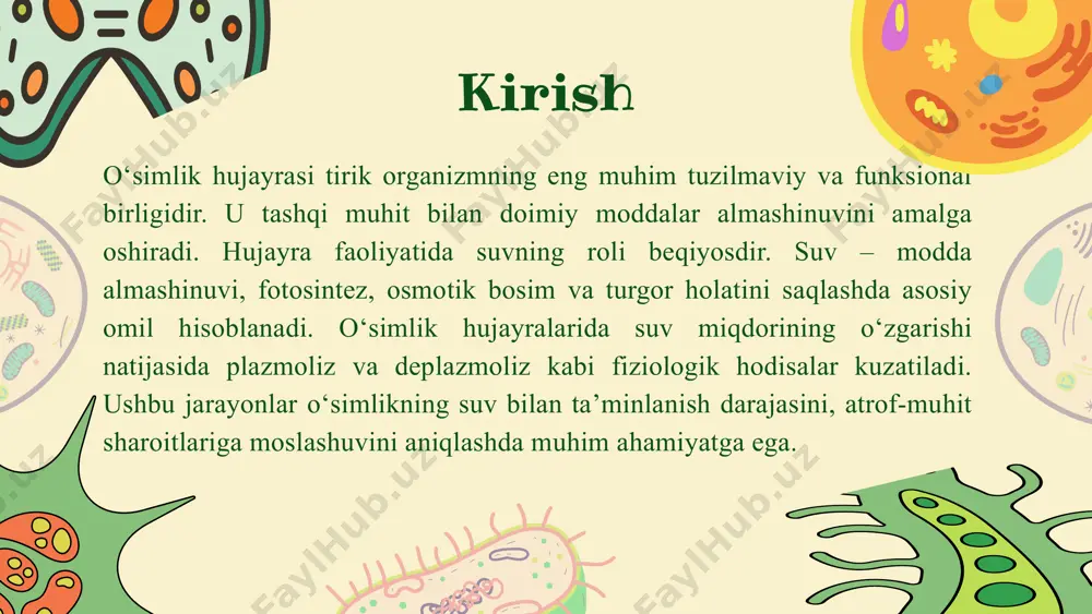 anatini saqlashda asosiy rol o‘ynaydi. hujayra gipertonik muhitda bo‘lsa – suv chiqadi (plazmoliz), gipotonik muhitda esa suv kiradi (deplazmoliz). agar hujayra izotonik muhitda bo‘lsa, suv miqdori o‘zgarmaydi – bu holat dinamik muvozanat deb ataladi. bu jarayonlarning o‘zaro bog‘liqligini o‘rganish orqali olimlar o‘simlik hujayrasining suv bilan ta’minlanish mexanizmini, suv yetishmovchiligiga javob reaksiyalarini, hujayra devorining elastikligini hamda protoplazmaning suv o‘tkazuvchanligini aniqlaydilar. tajriba va kuzatuvlar tajriba uchun eng qulay obyektlardan biri — piyozning qizil epidermis qavatidir. piyoz po‘chog‘idan yupqa qavat olinadi va mikroskop oynachasi ustiga joylashtiriladi. avval toza suvda kuzatish – hujayra turgor holatida. keyin 10% nacl eritmasi qo‘shilganda – suv chiqib, plazmoliz kuzatiladi. so‘ngra yana suv bilan almashtirilsa – deplazmoliz jarayoni sodir bo‘ladi. bu oddiy tajriba orqali osmoz, suv harakati, hujayra devori va protoplast o‘zgarishlarini aniq kuzatish mumkin. shu sababli bu tajriba maktab va oliy ta’lim laboratoriyalarida keng o‘qitiladi. amaliy ahamiyati plazmoliz va deplazmoliz hodisalari o‘simliklarning ekologik sharoitlarga moslashuvini baholashda, suv bilan …