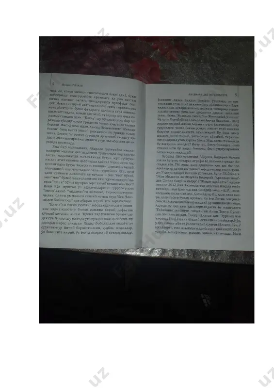 xurshid do'stmuhammad yolg'iz - Page 3