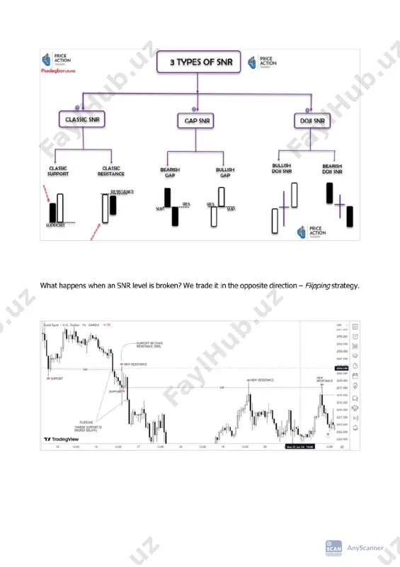my rare snr course - Page 3
