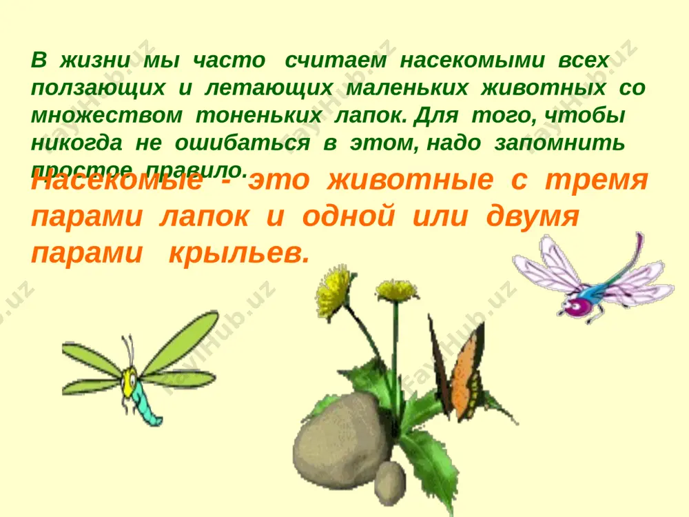 nasekomie_i_ix_vidi - Page 3