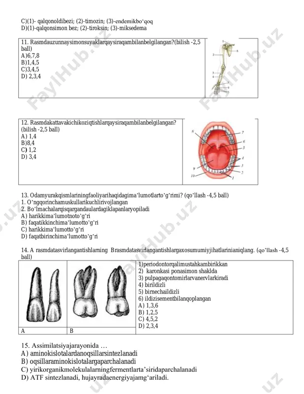 ishdoirasidaqonningharakatlanishjarayonlariqandayketma-ketlikdasodirbo’ladi? (qo’llash -4,5 ball) 1) yurako’ngqorinchasi 2) o’pkaarteriyalari 3) alveolalar 4) chap bo’lmacha 5) kapillarlar (2) 6) o’pkavenalari a) 1,2,5,3,5,6, 4 b) 4,3,2,1,6,5 c) 1,4,2,6,3,5d) 3,4,2,1,5,6 10. qaysi javobdanuqtalaro‘rnito‘g‘rima’lumotlarbilanto‘ldirilgan?(qo‘llash -4,5 ball) … (1) ichkisekretsiyabezlariichidaengyirikbezdir. qalqonsimon bez gormoni… (2) tarkibida yod moddasiko‘pbo‘ladi.katta yoshdagiodamlarda bez faoliyatipasayib, tiroksinishlabchiqarilishiningkamayishi… (3) kasalliginikeltiribchiqaradi. a) (1)-qalqonsimon bez; (2)-tiroksin; (3)-kretinizm b)(1)-qalqonoldibezi; (2)-paratgogmon; (3)-tetaniya c)(1)- qalqonoldibezi; (2)-timozin; (3)-endemikbo‘qoq d)(1)-qalqonsimon bez; (2)-tiroksin; (3)-miksedema 11. rasmdauzunnaysimonsuyaklarqaysiraqambilanbelgilangan?(bilish -2,5 ball) a)6,7,8 b)1,4,5 c)3,4,5 d) 2,3,4 12. rasmdakattavakichikoziqtishlarqaysiraqambilanbelgilangan? (bilish -2,5 ball) a) 1,4 b)8,4 c) 1,2 d) 3,4 13. odamyurakqismlariningfaoliyarihaqidagima’lumotlarto’g’rimi? (qo’llash -4,5 ball) 1. o’ngqorinchamuskullarikuchlirivojlangan 2. bo’lmachalarqisqargandaulardagiklapanlaryopiladi a) harikkima’lumotnoto’g’ri b) faqatikkinchima’lumotto’g’ri c) harikkima’lumotto’g’ri d) faqatbirinchima’lumotto’g’ri 14. a rasmdatasvirlangantishlarning brasmdatasvirlangantishlargaxosumumiyjihatlarinianiqlang. (qo’llash -4,5 ball) 1)periodontorqalimustahkambirikkan 2) karonkasi ponasimon shaklda 3) pulpagaqontomirlarvanervlarkiradi 4) birildizli 5) birnechaildizli 6) ildizisementbilanqoplangan a) 1,3,6 b) 1,2,5 c) 4,5,2 d) 2,3,4 a b 15. assimilatsiyajarayonida … a) aminokislotalardanoqsillarsintezlanadi b) oqsillaraminokislotalargaparchalanadi c) yirikorganikmolekulalarningfermentlarta’siridaparchalanadi d) atf sintezlanadi, hujayradaenergiyajamg‘ariladi.