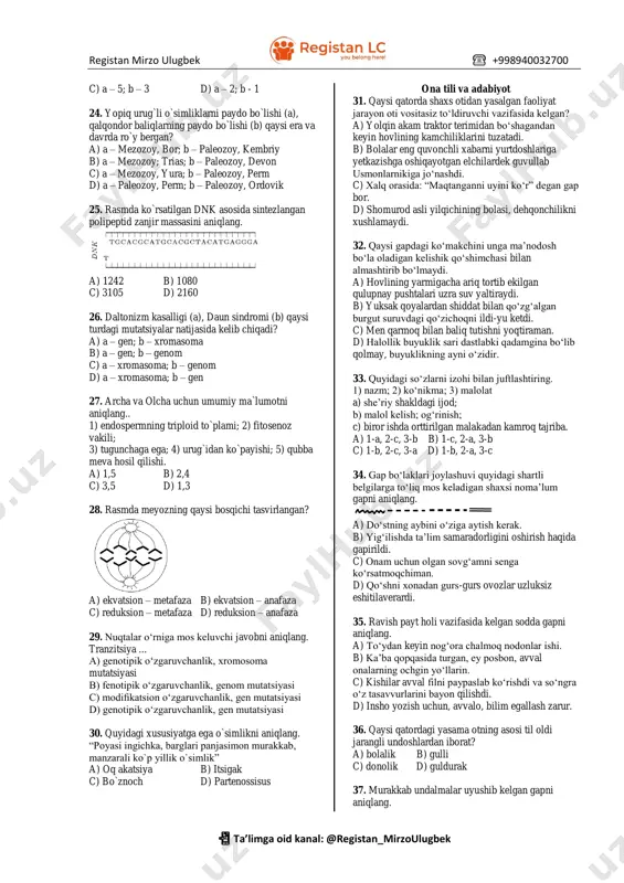 ) soni qaysi javobda to`g`ri keltirilgan? a) a – 46; b – 23 b) a – 46; b – 46 c) a – 23; b – 23 d) a – 23; b – 46 18. shakli o`zgargan barglarni aniqlang. a) no`xotning gajaklari; kaktusning tikanlari; zirkning tikanlari b) shirinmiyaning ildizpoyasi; yantoqning tikanlari; kaktusning tikanlari c) lolaning piyozboshi; lavlagining ildizmevasi; qirqquloqning ildizpoyasi d) nargisning piyozi; qirqbo‘g‘imning ildizpoyasi; kaktusning tikanlari 19. jadvalning qaysi qatorlarida o`simliklar hayot sikli va unda yuz beradigan jarayonlar muofiqligi to`g`ri ko`rsatilgan? № hayot sikli bosqichlari jarayonlar 1 zuhrasochning gametofiti sporadan rivojlanadi; rizoidga ega; fototrof organizm 2 funariyaning sporafiti rizoidli; poya – bargga ega; zigota hosil qiladi 3 dala qirqbo`g`imi sporofiti ildizpoyali; ko`p yillik; generativ novda hosil qiladi 4 suv qirqqulog`i sporofiti ildizpoyali; spora hosil qiladi; fototrof organizm a) 1,2 b) 1,3 c) 2,4 d) 3,4 20. quyidagi qaysi javobda noto`g`ri ma`lumot keltirilgan? a) dengiz tulkisining yurak qorinchasidagi venoz qon …