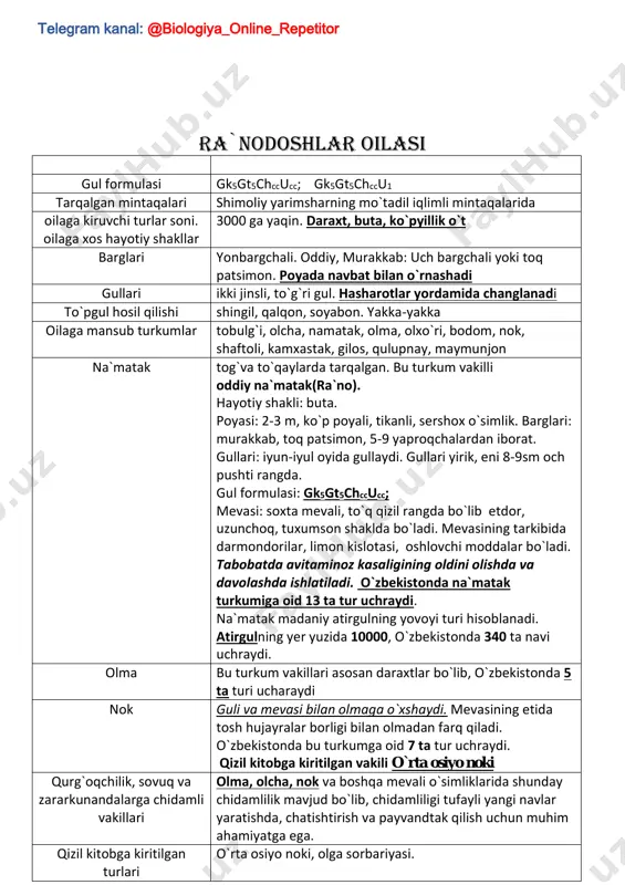 hayotiy shakllari: daraxt, buta, yarim buta, ko`p yillik, ikki yillik, bir yillik barglari oilaga mansub o`simliklar ko`pincha etdor-sersuv bo`ladi. barglari oddiy, yonbargsiz. poyada: ketma-ket yoki qarama-qarshi joylashgan. bargi juda kichrayib ketgan yoki yuqolib ketgan turlari ham uchraydi. gullari gullari mayda. rangi: yashil yoki rangsiz to`g`ri yoki qiyshiq, ikki jinsli yoki ayrim jinsli gulqo`rg`oni: oddiy kosachasimon to`pgul hosil qilishi gullari shingilsimon yoki boshoqsimon topgulda o`rnashgan. mevasi yong`oqcha lavlagi turkum vakilli: oddiy lavlagi hayotiy shaklli: ikki yillik urug`idan birinchi yilli barglar va oziq moddalarga boy yog`onlashgan ildiz (ildizmeva) hosil qiladi. ikkinchi yili unda mayda bargli, uchi to`pgullar bilan tugovchi novda hosil qiladi. may oyida gullaydi. gullari mayda. gul formulasi: og0;5ch5u(3) mevasi: yong`oqcha. sentabr oyida pishadi ismaloq turkumga oid o`zbekistonda 2 ta tur uchraydi rezavor ismaloq: ziravor o`simliklar qatorida ekiladi hayotiy shakli: bir yillik. poya va barglari ovqatga ishlatiladi. turkiston ismalog`i: ikki uyli begona o`t hayotiy shakli: bir yillik saksovul turkumga oid o`zbekistonda …