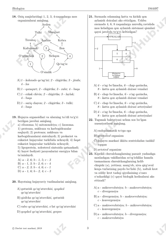 ga mos javobni tanlang. odamlarda qonning normal ivishini va teri pigmentining normal sintezlanishini ifoda etuvchi genlar . . . . a)noallel genlar deyiladi b)biri ikkinchisi ustidan dominantlik qiladi c)allel genlar deyiladi d)autosoma xromosomalarida joylashgan 12. yeryong‘oq o‘simligi tuzilishiga mos keladigan mantiqiy tushunchalarni aniqlang. a)urug‘chi, dukkak meva, oddiy gulqo‘rg‘on b)murakkab barg, gul, o‘tkazuvchi nay c)oddiy barg, o‘t poya, murakkab gulqo‘rg‘on, d)murakkab barg, qo‘zoq meva, yog‘och poya 13. turkum sistematik birligiga mos keluvchi javobni aniqlang. a)yassi chuvalchanglar, burchoqdoshlar b)molluskalar, lolasimonlar c)halqali chuvalchanglar, karamdoshlar d) ituzum, boychechak 14. dnkning 127,5 nm li fragmentidan transkripsiyalangan i-rnk asosida 14160 molekular massaga ega oqsil sintezlangan bo‘lsa, i-rnkning qanday uzunlikdagi (nm) qismi translyatsiyada ishtirok etmagan? (nukleotidlar orasidagi masofa 0,34 nm; oqsil tarkibidagi bitta aminokislota qoldig‘ining molekular massasi 120.) a) 3,57 b) 7,14 c) 14,28 d) 21,47 15. nafas olishi jabra orqali amalga oshadigan umurtqalilar kenja tipiga mansub organizmlar to‘g‘ri berilgan javobni aniqlang. a)dreysena, daryo qisqichbaqasi b) tikanli …