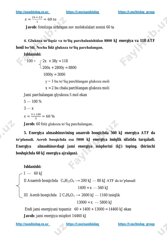 sqichda 2 c3h6o3 → 2600 kj — 1160 issiqlik 13000 = x — 5800 kj endi jami energiyani topamiz 60 + 1400 + 13000 = 14460 kj ekan javob: jami energiya miqdori 14460 kj http://nambiolog.zn.uz/ https://t.me/nambiolog https://t.me/biolog_group http://nambiolog.zn.uz/ https://t.me/nambiolog https://t.me/biolog_group http://nambiolog.zn.uz https://t.me/nambiolog https://t.me/biolog_group http://nambiolog.zn.uz https://t.me/nambiolog https://t.me/biolog_group 6. energiya almashinuv bosqichida dastlabki bosqich va kislorodli, kislorodsiz bosqichlardagi ajralib chiqqan energiya nisbati 1:200 nisbatda. kislorodli parchalanishda ajralib chiqqan energiya 2900 kj ni tashkil etadi. dastlabki bosqichda ajralib chiqqan energiya miqdorini kj toping? ishlanishi: i dastlabki bosqich ii kislorodsiz bosqich 2 mol sut kislota ajralganda — 200 kj energiya ajraladi 5 — x = 500 kj iii kislorodli bosqich 2 mol sut kislota — 1160 kj issiqlik — 2600 kj 5 = x — 2900 kj — y = 6500 kj 6500 + 500 = 7000 kj 7000 : 200 = 35 kj bu dastlabki bosqichda ajralgan energiya hisoblanadi. javob: dastlabki bosqichda 35 …