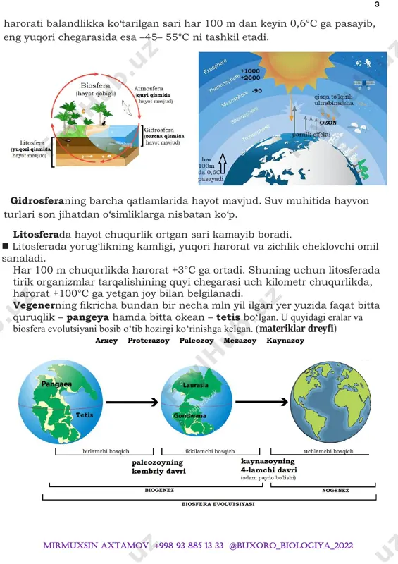 vchi pigmentlar bo‗lishi bilan farq qiladi. yapon laminariyasi tanasining yuqori qismi uzun tasmasimon, bo‗yi 6-12 m, eni 10-75 sm keladi. pastki qismi esa kalta silindrsimon yoki novsimon. yapon laminariyasi jinssiz (zoosporalar orqali) va jinsiy yo‗llar bilan ko‗payadi.  laminariya boshqacha «dengiz karami» (porfira boshqacha ―dengiz salati‖) deyiladi.  sanoatda dengiz suvo‗tlaridan yod va brom olinadi.  filloforadan agar-agar olinadi. agar-agar marmelad va muzqaymoq tayyorlashda ishlatiladi. (agar-agar laboratoriyalarda bakteriyalar va zamburug‗larni o‗stirish uchun ishlatiladi). koʻp hujayrali organizmlarda 2 xil hujayra mavjud: 1) somatik (tana) hujayrasi – diploid (2n) boʻladi 2) birlamchi jinsiy hujayra – diploid (2n) boʻladi. voyaga yetganda birlamchi jinsiy hujayralardan – yetilgan jinsiy hujayra (gaploid – n) hosil boʻladi. 8 mirmuxsin axtamov +998 93 885 13 33 @buxoro_biologiya_2022 organizm erkaklik jinsiy organi birlamchi erkaklik jinsiy hujayrasi birlamchi erkaklik jinsiy hujayrasi sporali oʻsimliklar anterediy spermatazoid (n) ochiq urugʻli oʻsimliklar changchi spermiy (n) yopiq urugʻli oʻsimliklar changchi mikrosporotsit (2n) spermiy (n) …