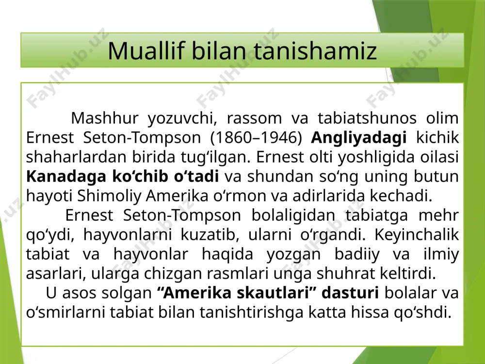 ki hiylayi nayranglar bilan qo‘lga tushirib bo‘lmaydi, deya o‘yladi. ammo ustomonlik bilan qo‘yilgan zaharlar ham, duo-yu afsunlar ham kulrang bo‘rining korini qilolmadi. u o‘z galasi bilan haftalab talon- torojchilik qilib, ayshini surib yuraverdi. ovchilarning hafsalasi pir bo‘lib, o‘zga o‘lkalarga ketib qoldi. lobo haqidagi hikoya bir keksa ovchining maslahatiga binoan bir tishlam pishloqni hozirgina so‘yilgan buzoq buyragi moyida eritib oldim. so‘ng, temir lobo va uning galasi nega podachilar ko‘ngliga dahshat soldi? nega ularni tutish yoki yo‘qotish mushkul edi? hidi kelmasligi uchun pishloqni chinni idishda pishirib, suyak pichoq bilan qirqdim. sovigach, bo‘lak-bo‘laklarga bo‘ldim. har bir bo‘lakni teshib ichiga strixnin, sianid kaliy solingan hid chiqarmaydigan xaltachalarni joylashtirdim. teshiklarni pishloqning o‘zi bilan bekitib qo‘ydim. bu ishni buzoqning iliqqina qoniga botirib olingan qo‘lqoplarni kiyib amalga oshirdim. uchinchi pishloqning ham yo‘qolganini ko‘rdim. izlar esa yo‘lida davom etib, to‘rtinchi pishloq turgan yerga qarab ketibdi. shunda men lobo pishloqlarni yemay, og‘zida bir joyga olib borib to‘plab, o‘zining tezagi …