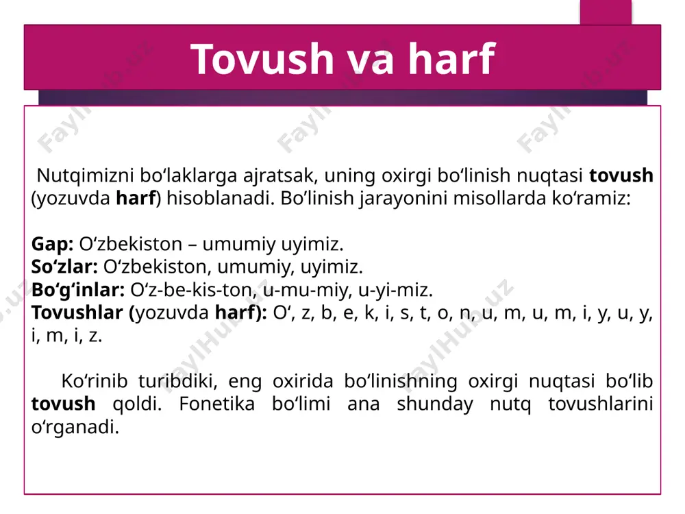 5-sinf. nutq tovushlarining aytilishi va yozilishi - Page 3