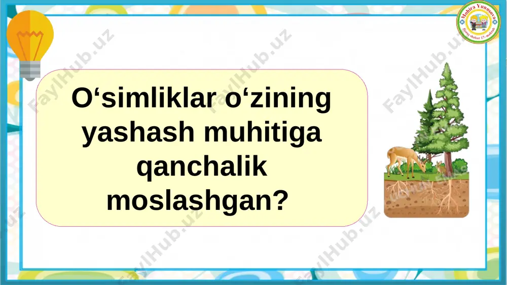 issiq taʼsirida oʻsimlikda qanday o‘zgarishlar kuzatiladi? buni aniqlash uchun qanday tajriba oʻtkazish kerak? 1- topshiriq 2-rasm: suv osti o‘simligi 5-rasm: nilufar guli 6-rasm: qamish 1-rasm: yantoq 3-rasm: zubturum 4-rasm: makkajo‘xori 7-rasm: salat bargi 8-rasm: atirgul 2-topshirq uzun ildizlarga yoyilib ketgan tikkan mum 3-topshirq orxideya monstera paporotnik 4-topshirq fikus bambuk siklamen diffenbaxiya 4-topshirq u issiq va quruq cho‘llarda o‘sadi. barglari tikanga aylangan, tanasi suvni yig‘ib saqlaydi. sovuq shimoliy hududlarda o‘sadi. past bo‘lib o‘sadi, shoxlari yerga yaqin, sovuq shamollardan himoyalanadi. issiq va nam tropik o‘rmonlarda o‘sadi. barglari keng, mevasi ko‘p. o‘simliklar yaxshi rivojlanishi uchun issiqlik va yorug‘lik zarur. yorug‘lik bo‘lmasa, o‘simlik xira, zaif bo‘lib o‘sadi. sovuqda esa o‘sish jarayonlari sekinlashadi yoki butunlay to‘xtaydi. uyga vazifa: image2.jpeg image3.png image4.jpeg image5.png image6.jpeg image7.jpeg image8.png image9.png image10.png image11.jpeg image12.jpeg image13.png image14.png image15.jpeg image16.jpeg image17.jpeg image18.png image19.png image20.png image21.png image22.png image23.png image24.png image25.png image26.png image27.png image28.png image29.png image30.png image31.png image32.jpeg image33.jpeg image34.jpeg image1.jpg