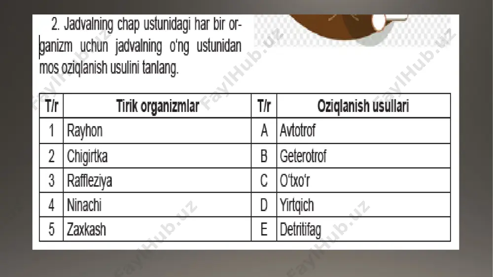 6-sinf. sciens. bob yuzasidan mantiqiy - Page 3