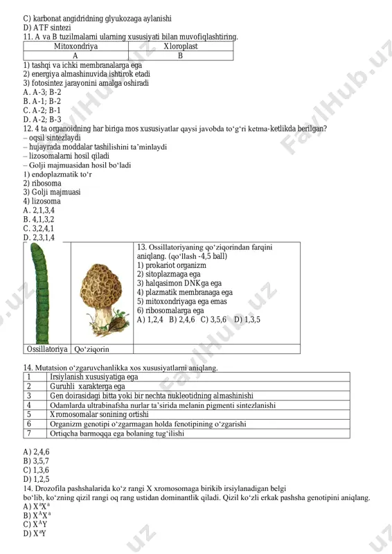 etik qiymati haqidagi ma’lumotlar to‘g‘rimi? 1. 100 g yog‘ to‘liq parchalanganda 3980 kj energiya hosil bo‘ladi. 2. 1 gramm oqsilning to‘liq parchalanishi natijasida 38,9 kj energiya ajralib chiqadi. a. har ikki ma’lumot noto‘g‘ri b. faqat 2-ma’lumot to‘g‘ri c. har ikki ma’lumot to‘g‘ri d. faqat 1-ma’lumot to‘g‘ri 10. fotosintez jarayonida kislorod … natijasida hosil bo'ladi: a) suvning fotolizi b) karbonat angidridning parchalanishi c) karbonat angidridning glyukozaga aylanishi d) atf sintezi 11. a va b tuzilmalarni ularning xususiyati bilan muvofiqlashtiring. mitoxondriya xloroplast a b 1) tashqi va ichki membranalarga ega 2) energiya almashinuvida ishtirok etadi 3) fotosintez jarayonini amalga oshiradi a. a-3; b-2 b. a-1; b-2 c. a-2; b-1 d. a-2; b-3 12. 4 ta organoidning har biriga mos xususiyatlar qaysi javobda to‘g‘ri ketma-ketlikda berilgan? – oqsil sintezlaydi – hujayrada moddalar tashilishini ta’minlaydi – lizosomalarni hosil qiladi – golji majmuasidan hosil bo‘ladi 1) endoplazmatik to‘r 2) ribosoma 3) golji majmuasi 4) lizosoma …