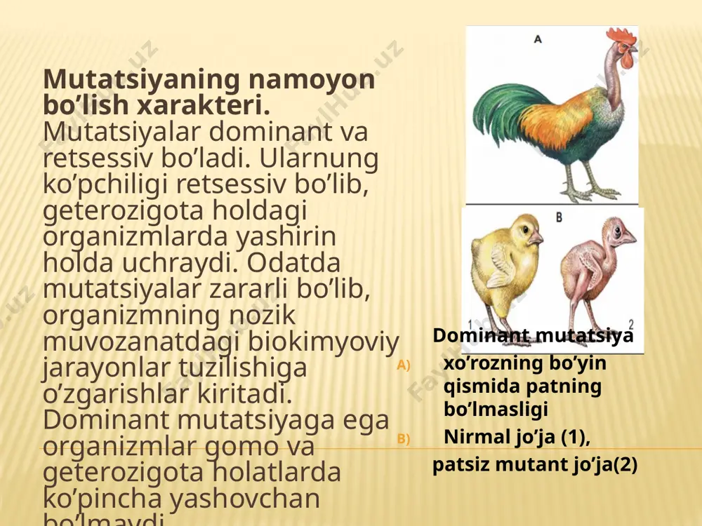 1-maktab abdugofur mutatsion o'zgaruvchanlik - Page 3