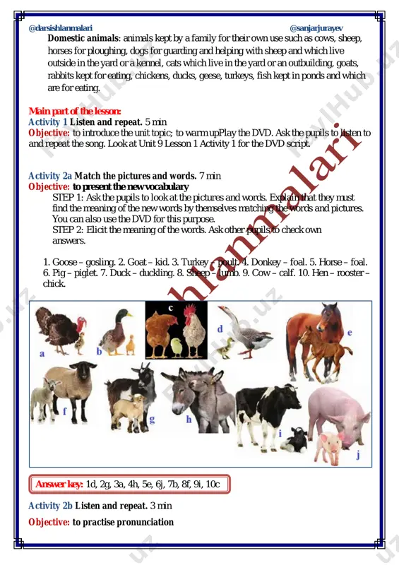 of “goose” and “calves” is the plural of a goose – two geese “calf”. a calf – two calves step 2: the pupils repeat the words in the remember box after you. step 3: the pupils make pairs and tell each other about the animals they like and don’t like taking turns. remind them to use “but” to join two opposite sentences. eg. i like ducks but i don’t like geese. grammar reference 1 activity 4a listen and repeat. 5 min objective: to present the personal pronouns in the object case ask the pupils to listen and repeat the personal pronouns in the object case after the dvd. explain their meaning and usage in their mother tongue. i he she it we you they me him her it us you them activity 4b say what animals your family like/don’t like. 5 min @darsishlanmalari @sanjarjurayev objectives: to reinforce the personal pronouns …