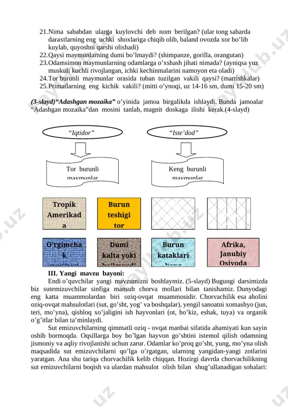 da uchraydi? (afrika va jan.osiyo) 16. tor burunli maymunlarga xos xususiyatlarni ayting. (burun katagi tor, dumi kalta yoki bo’lmaydi) 17. primatlar orasida eng yirik va yuksaktuzilgani qaysilar? (odamsimon maymunlar) 18. gorilla va shimpanze qaysi qit’ada uchraydi? (afrika) 19. kalimantan va sumatra orolida qaysi maymun uchraydi? (orangutan) 20. “kuylovchi” maymunlar qaysilar? (gibbonlar) 21. nima sababdan ularga kuylovchi deb nom berilgan? (ular tong saharda daraxtlarning eng uchki shoxlariga chiqib olib, baland ovozda xor bo’lib kuylab, quyoshni qarshi olishadi) 22. qaysi maymunlarning dumi bo’lmaydi? (shimpanze, gorilla, orangutan) 23. odamsimon maymunlarning odamlarga o’xshash jihati nimada? (ayniqsa yuz muskuli kuchli rivojlangan, ichki kechinmalarini namoyon eta oladi) 24. tor burunli maymunlar orasida tuban tuzilgan vakili qaysi? (martishkalar) 25. primatlarning eng kichik vakili? (mitti o’ynoqi, uz 14-16 sm, dumi 15-20 sm) (3-slayd)“adashgan mozaika” o’yinida jamoa birgalikda ishlaydi. bunda jamoalar “adashgan mozaika”dan mosini tanlab, magnit doskaga ilishi kerak.(4-slayd) “iqtidor” “iste’dod” tor burunli maymunlar keng burunli maymunlar dumi uzun …