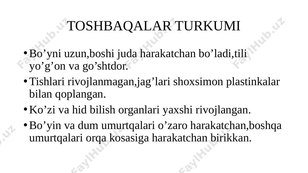 toshbaqalar va timsohlar turkumi - Page 3