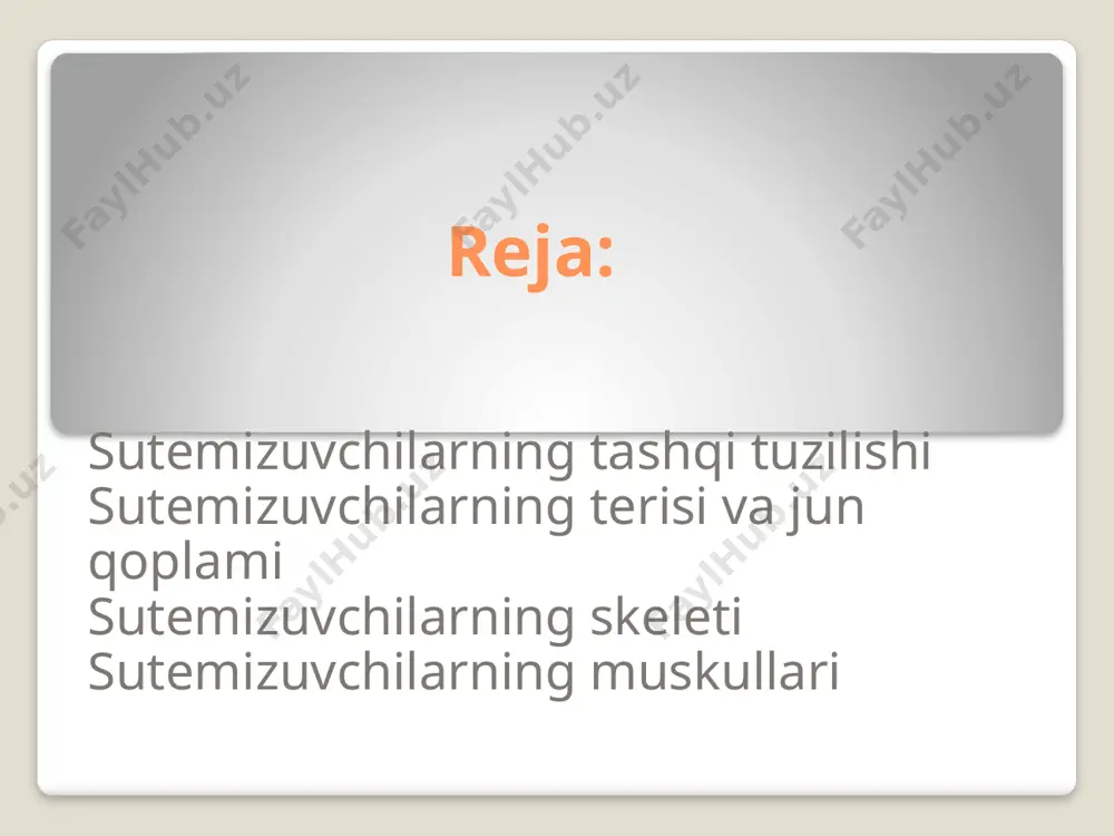 itning tashqi tuzilishi (2) (1) - Page 3