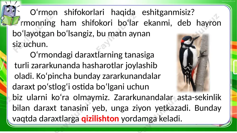 1-sinf.ona tili. 59-dars - Page 3
