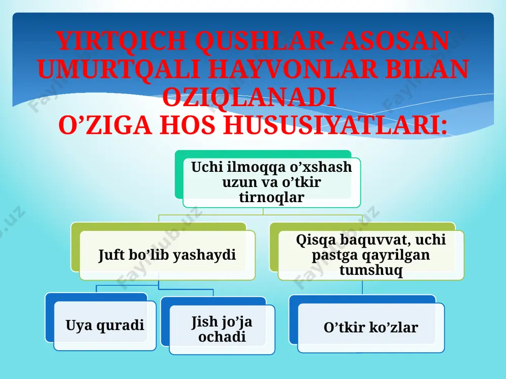 7- sinf biologiya yirtqich qushlar - Page 3
