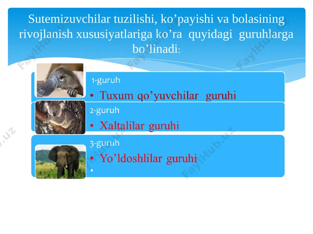 sutemizuvchilarning xilma-xilligi - Page 3