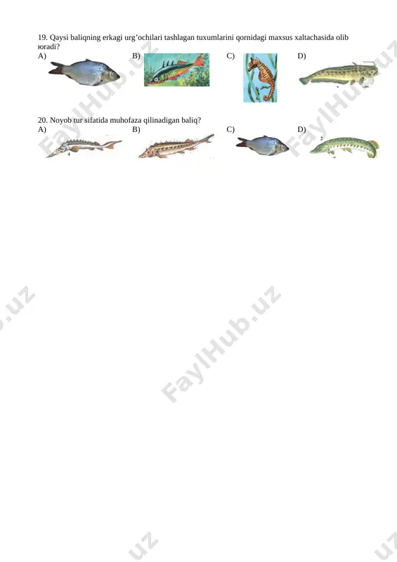 @yosh_ustozlar pisa 7 sinf biologiya - Page 3