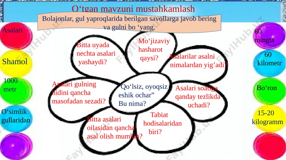 1-sinf uy hayvonlari - Page 3