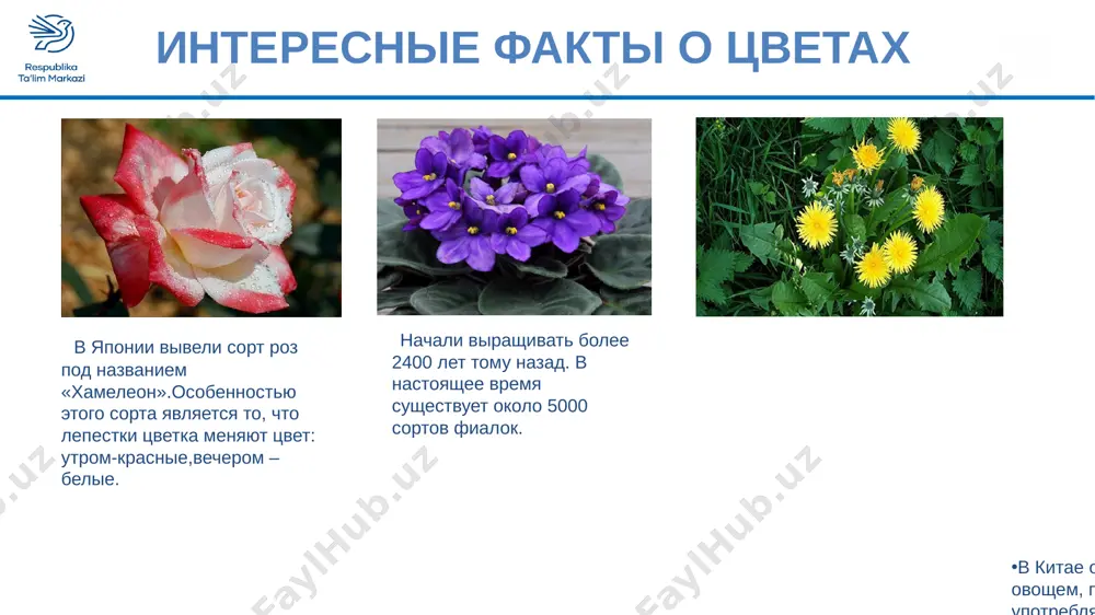 1_klass_izobrazitelnoe_iskusstvo - Page 3