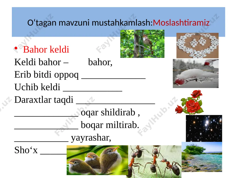 1-sing o'qish savodxonligi tekinxo'r - Page 3