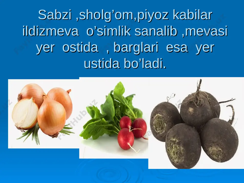 foydali sabzavotlar va mustahkam xotira taqdimot - Page 3