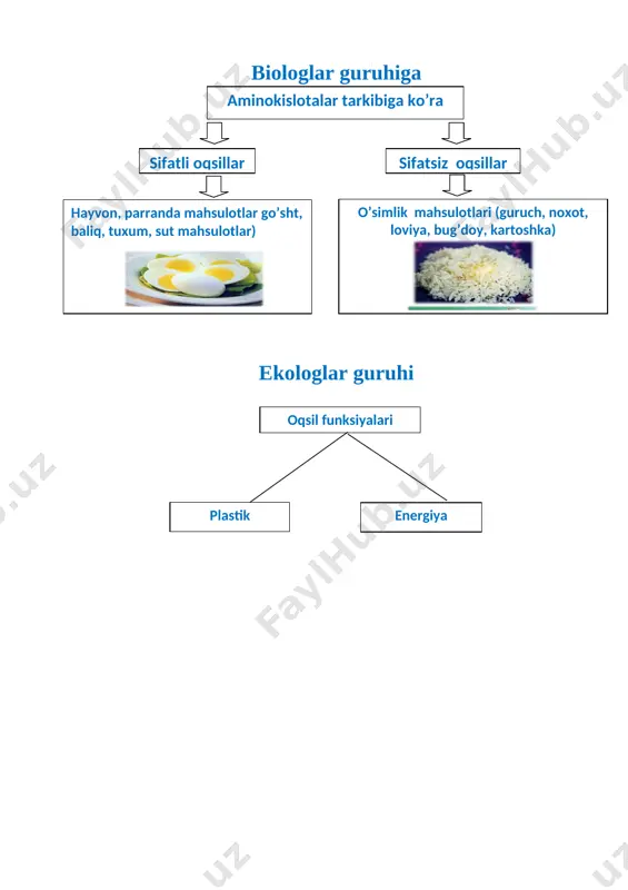 m beradi, organizmda fermentlar tarkibiga kirib, ularning normal funksiyasi va faolligini taʼminlaydi. v. organizmda energiya almashinuvida (v,, v2 v.), aminokislotalar (v6, v12 v.) va yog kislotalar (pantotenat kislota) biosintezida, fotoresepsiya jarayonida (a vitamin), qon ivishida (k vitamin) va kalsiyning oʻzlashtirilishida (d vitamin) ishtirok etadi. shunday qilib, organizmda biror vitamin yetishmasa yoki butunlay boʻlmasa, moddalar almashinuvi buziladi. oziq-ovqatda v. yetishmaganda kishining mehnat qobiliyati pasayadi, organizmning kasalliklarga hamda tashqi muhitning noqulay taʼsiriga chadami kamayadi. vitamin yetishmovchiligiga ovqat tarkibida v. kam boʻlishigina emas, balki ularning ichakda soʻrilishi, toʻqimalarga yetkazib berilishi va biologik faol shaklga aylanishi jarayonlarining buzilishi ham sabab boʻladi. lekin baʼzi v.ning fiziologik ehtiyojdan ortiqroq boʻlishi gipervitaminozga olib kelishi ham mumkin. keyingi yillarla 30 dan ziyod vitaminning kimyoviy tuzilishi toʻla oʻrganilib, koʻplari sintez qilindi. piridoksin (v6 vitamin)— koʻpgina oʻsimlik va hayvon mahsulotlari: achitqi, bugʻdoy murtagi, jigar, baliq, mol goʻshti va dukkakli donda boʻladi. u oqsil va yogʻning normal hazm boʻlishini taʼminlab, azot …
