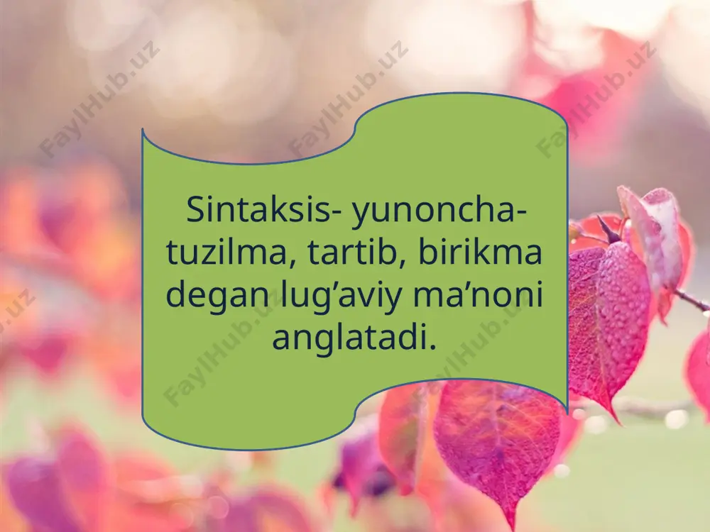 ldiruvchi: u qalam, daftar va ruchka oldi. aniqlovchi: nasibaning va karimning opasi keldi. undalma: aziz do’stlar, yurtdoshlar, sizlarni sog’inib yashadim. ko’rinadiki gapning konstruktiv bo’laklari ham, nokonstruktiv bo’laklari ham uyushishi mumkin. foydalanilgan adabiyotlar 1.azim hojiyev.”o’zbek tili grammatikasi.sintaksis” toshkent-1976. 2.vikepediya. 3.google.uz. e’tiboringgiz uchun rahmat! image2.jpg image3.jpg image4.png image5.png image6.jpg image7.jpg image8.jpg image9.png image10.jpg image11.jpg image12.png image13.jpg image1.jpg