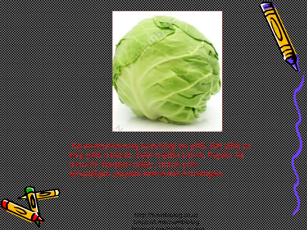 etar bo’lsa qon u qo’yar tuzoq topib oling o’simlkni mevasi qo’zoq 1.erur karamdosh o’ramaydi bosh tortilganda osh bo’lar u yo’ldosh http://nambiolog.zn.uz https://t.me/nambiolog https://t.me/biolog_group http://nambiolog.zn.uz https://t.me/nambiolog https://t.me/biolog_group http://nambiolog.zn.uz https://t.me/nambiolog https://t.me/biolog_group http://nambiolog.zn.uz https://t.me/nambiolog https://t.me/biolog_group http://nambiolog.zn.uz https://t.me/nambiolog https://t.me/biolog_group http://nambiolog.zn.uz https://t.me/nambiolog https://t.me/biolog_group