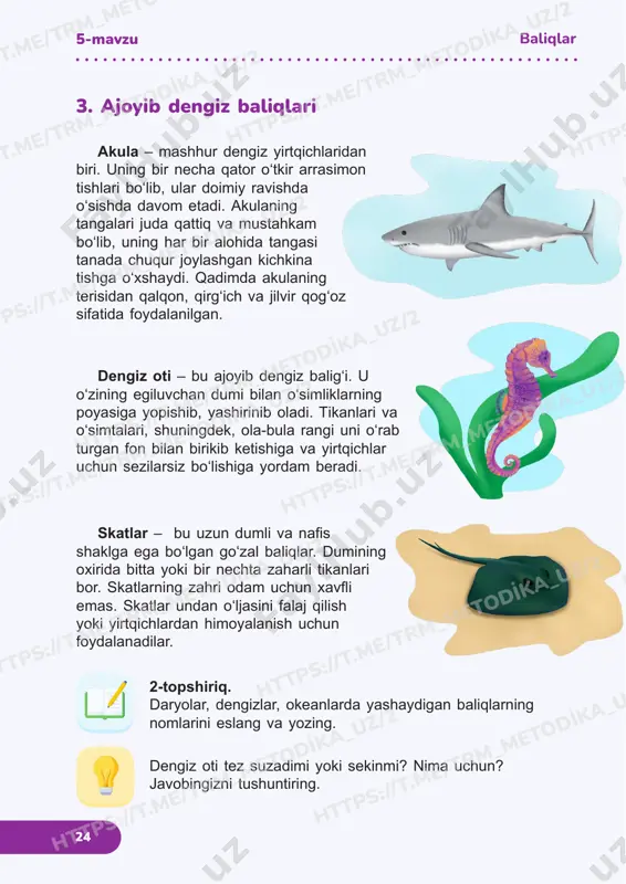 yolar, dengizlar, okeanlarda yashaydigan baliqlarning nomlarini eslang va yozing. 3. ajoyib dengiz baliqlari 5-mavzu baliqlar 24 https://t.me/trm_metodika_uz/2 https://t.me/trm_metodika_uz/2 https://t.me/trm_metodika_uz/2 https://t.me/trm_metodika_uz/2 https://t.me/trm_metodika_uz/2 https://t.me/trm_metodika_uz/2 https://t.me/trm_metodika_uz/2 https://t.me/trm_metodika_uz/2 https://t.me/trm_metodika_uz/2 https://t.me/trm_metodika_uz/2 https://t.me/trm_metodika_uz/2 https://t.me/trm_metodika_uz/2 https://t.me/trm_metodika_uz/2 ht 25 aktiniyalar dengiz gullariga o‘xshaydi, ammo aslida, ular jonivorlardir. odatda, aktiniyalar mayda baliqchalar va molluskalar bilan oziqlanadi. ko‘plab aktiniyalar maxsus kuydiruvchi iplar chiqarib, dushmanlaridan himoyalanadilar. aktiniyaga qo‘l tekkizilsa, terining kuyishiga olib keladi. meduzalar deyarli butunlay suvdan iborat bo‘lib, jelesimon soyabonga o‘xshaydi. ular o‘zlarining qubbalariga suvni tortib olib, keyin uni kuch bilan tashqariga otish orqali harakatlanadilar. meduzalarning ko‘pchiligida kuydiradigan zaharli changallar bor. sakkizoyoqlar quruqlik va suvdagi eng aqlli umurtqasiz jonivorlardan biri hisoblanadi. ularning tanasi kichik va yumshoq bo‘lib, changallashga moslashgan 8 ta uzun oyoqlari bor. ular bu oyoqlarning orqa ikkitasidan oyoq sifatida, qolgan oltitasidan esa qo‘l sifatida foydalanadilar. sakkizoyoqlar shunchalik aqlliki, hatto ular atrofdagi narsalardan ish quroli sifatida foydalana oladilar. masalan, ular dushmandan himoyalanayotganida changallarida kuydirishga qodir aktiniylarni ushlab turadilar. o‘ylab …