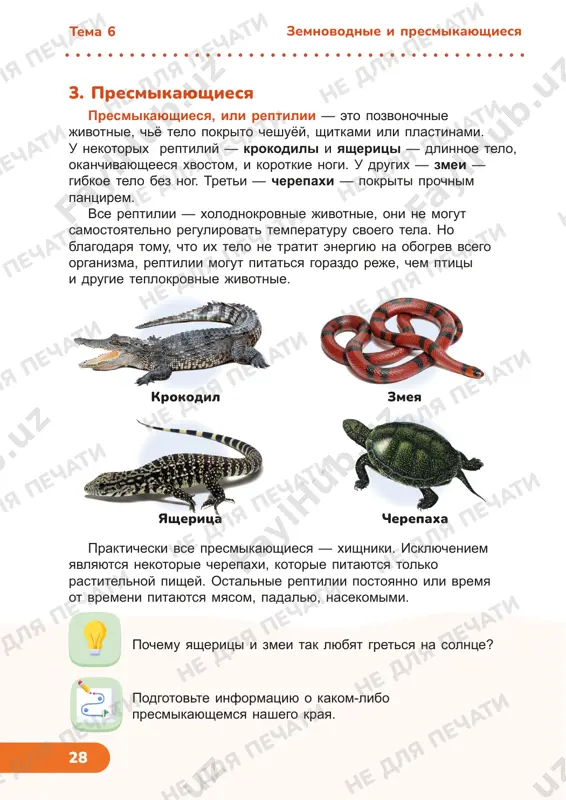 ode u beregov rek ili ozyor. kogda jertva podxodit napitsya vodi, krokodil nabrasivaetsya na neyo i utaskivaet v vodu. kak i drugie reptilii, krokodil otkladivaet yaytsa. samka krokodila — zabotlivaya mat. 2-3 mesyatsa ona vnimatelno sledit za svoim gnezdom: proveryaet temperaturu kladki i oxranyaet ot drugix xishnikov. zmei — xishnie reptilii, kotorie peredvigayutsya, volnoobrazno sokrashaya mishtsi svoego tela. zmei obladayut xoroshim zreniem. s pomoshyu spetsialnix yamok okolo glaz zmei chuvstvuyut teplo ot okrujayushix predmetov. krome togo, u zmey zamechatelnoe obonyanie. funktsiyu nosa u zmey vipolnyaet yazik. chtobi luchshe vosprinimat zapaxi, zmeya vremya ot vremeni visovivaet ego. s pomoshyu yazika zmeya opredelyaet, chto dobicha ryadom. zapishite obshie i otlichitelnie priznaki zemnovodnix i presmikayushixsya. zadanie 2. otmette v tetradi, kakie iz jivotnix reptilii, a kakie — zemnovodnie. 4. vidi reptiliy tema 6zemnovodnie i presmikayushiesya ne dlya pechati ne dlya pechati ne dlya pechati ne dlya pechati ne dlya pechati ne dlya pechati …