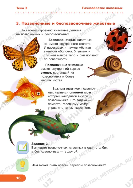 t .m e/ tr m_m et od ik a_ ru /4 17 bespozvonochnie presmikayushiesya, ili reptilii ribi zemnovodnie, ili amfibii mlekopitayushie ptitsi jivotnie ponablyudayte za domashnim pitomtsem. opishite ego vneshniy vid. rasskajite o ego privichkax. tema 3raznoobrazie jivotnix /t rm _m et od ik a_ ru /4 ht tp s: //t .m e/ tr m_m et od ik a_ ru /4 tr m_m et od ik a_ ru /4 ht tp s: //t .m e/ tr m_m et od ik a_ ru /4 ht tp s: //t .m e/ tr m_m et od ik a_ ru /4 ht tp s: //t .m e/ tr m_m et od ik a_ ru /4 ht tp s: //t .m e/ tr m_m et od ik a_ ru /4 ht tp s: //t .m e/ tr m_m et od ik a_ ru /4 _r u/ 4 18 vse nasekomie pokriti tvyordoy obolochkoy. u bolshinstva …
