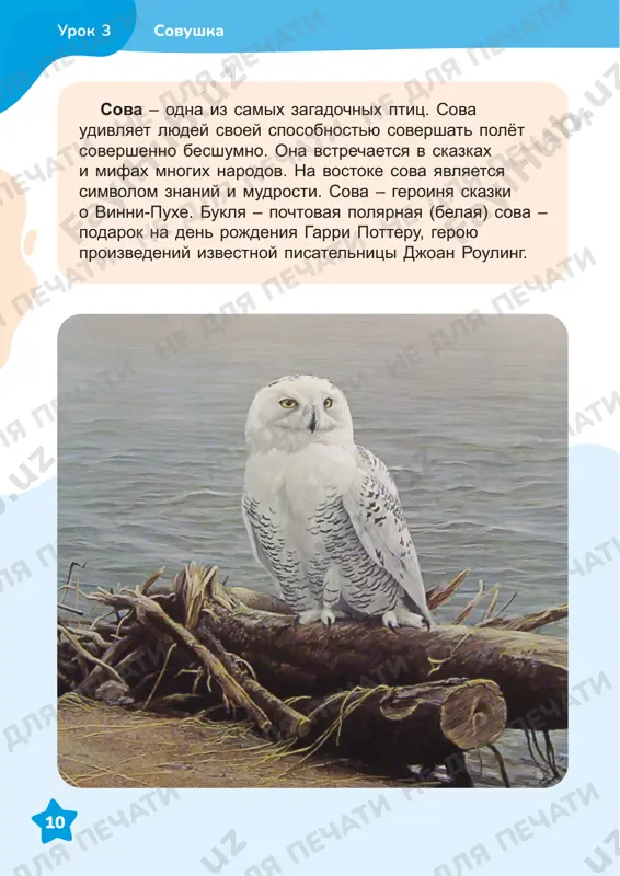 ie tsveta? ne dlya pechati ne dlya pechati ne dlya pechati ne dlya pechati ne dlya pechati ne dlya pechati ne dlya pechati ne dlya pechati ne dlya pechati ne dlya pechati ne dlya pechati ne dlya pechati ne dlya pechati ne dlya pechati ne dlya pechati ne dlya pechati ne dlya pechati ne dlya pechati ne dlya pechati ne dlya pechati ne dlya pechati ne dlya pechati ne dlya pechati 14 narisuyte tsvetovoy krug. tsvet smeshayte na palitre krasnuyu i jyoltuyu kraski: 1. v ravnix chastyax; 2. odnu chast jyoltoy i dve chasti krasnoy; 3. odnu chast krasnoy i dve chasti jyoltoy. urok 4 ne dlya pechati ne dlya pechati ne dlya pechati ne dlya pechati ne dlya pechati ne dlya pechati ne dlya pechati ne dlya pechati ne dlya pechati ne dlya pechati ne dlya pechati ne dlya pechati ne dlya pechati ne dlya pechati ne dlya pechati …