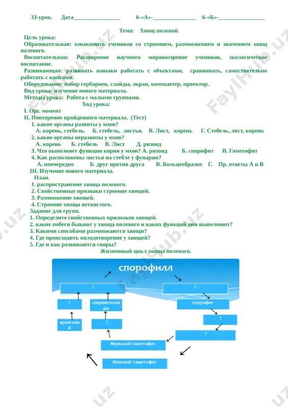 i razmnojenie vodyanogo paporotnika zadanie dlya uchenikov. № 1. osobennie priznaki paporotnikovix. 1. v kakix mestax rastut paporotnikovie? 2. kakimi putyami razmnojayutsya paporotnikovie? 3. chem otlichayutsya po stroeniyu paporotnikovie ot xvoshey? № 2. izuchenie stroenie i razmnojenie venerini volosi. 1. gde rastet venerini volosi? a) stroenie kornevisha i listey venerini volosi. 2. kakimi putyami razmnojayutsya venerini volosi? 3. v kakoy chasti rasteniy obrazuyutsya sorusi? 4. chto virastayut iz spor? 5. kakie organi obrazuyutsya iz gametofita? 6. kakie kletki obrazuyutsya v anteridiy i arxegoniyax? 7. gde oplodotvoryayutsya spermatozoidi i yaytse kletka? № 3. izuchenie stroenie i razmnojenie vodyanogo paporotnika. 1. gde rastet vodyanoy paporotnik? 2. kak raspolojeno listya na steble? 3. opredelite stroenie listev. 4. kakimi putyami razmnojaetsya vodyanoy paporotnik? iv. zakreplenie: zadanie №1. zapolnit tablitsu. napishite nomera priznakov k opredelyonnomu rasteniyu. svoystva rasteniy. 1 kornevishnaya mnogoletnyaya trava. 2 listya raspolojeno po tri. 3 dve listya raspolagayutsya na steble s dvux …