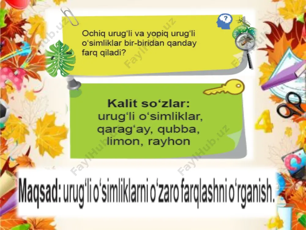 tabiiy fan. - Page 3