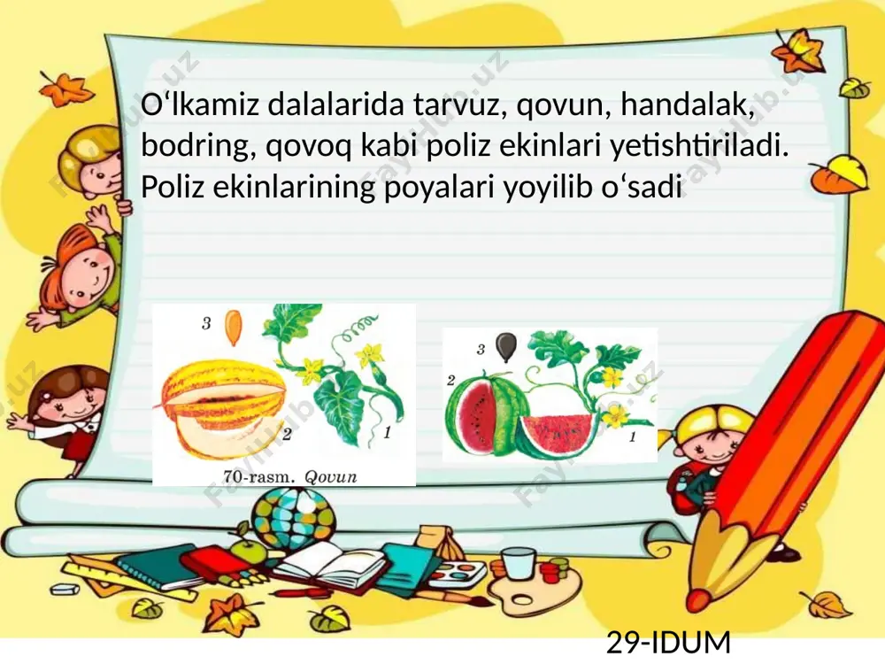 prezentatsiya(2)-wps office - Page 3