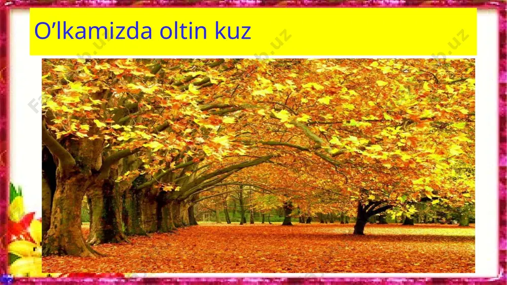 ona tili 3-sinf 32-33-mashq - Page 3