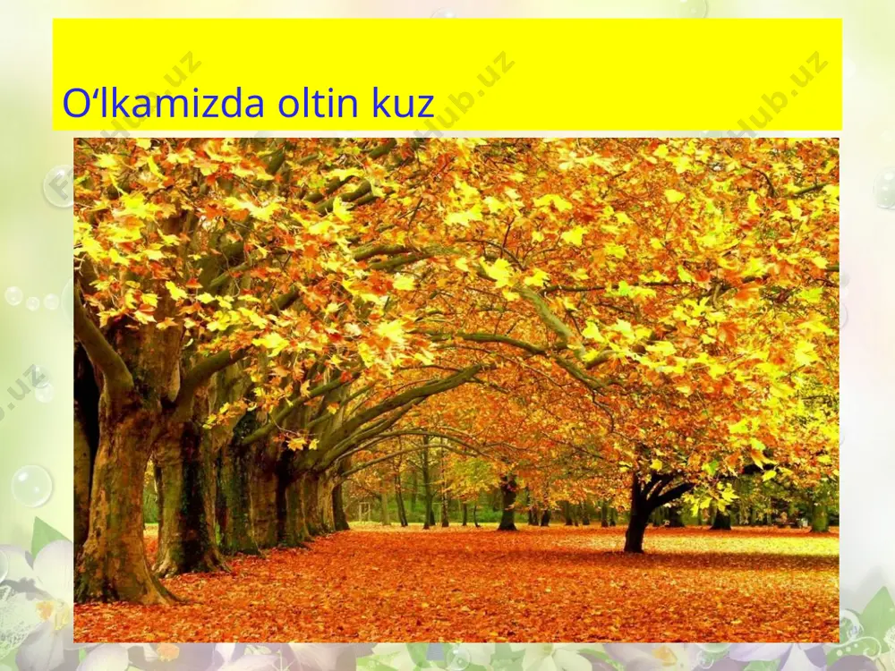 23x4,4x23 ko'rinishidagi ifodalar - Page 3
