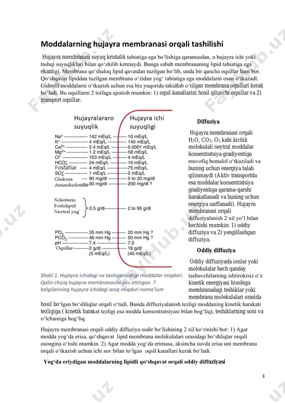 2) kanallarning ochilishi va yopilishi darvoza mexanizmi orqali amalga oshadi. oqsil kanallarining tanlab o‘tkazuvchanligi. 1. kanalning o‘ziga xos xususiyatlari (diametri va formasi)ga; 2. kanalning yuzasida joylashgan moddalar va elektrik zaryadiga bog‘liq. masalan, natriy kanali diametri 0.3-0.5 nm, ichki yuzasidagi aminokislotalar hisobidan kuchli manfiy zaryadlangan bo‘ladi. bu esa natriy ionlarini degidratasiyalangan (suvsizlangan) holda kanalga tortilishini ta’minlaydi(odatda natriy oʻz atrofida ko‘plab suv molekulasini tutadi va hajmi kattaroq bo‘ladi). kaliy kanallari diametri 0.3 nm atrofida va aksincha manfiy zaryadlanmagan bo‘ladi. natijada kaliy ionlari gidratlangan holatda o‘tib ketaveradi(o‘ziga kamroq suv molekulasini tutgani uchun hajmi ham ancha kichikroq natriyga nisbatan). bu nima uchun kerak degan savolga, agar kaliy kanali ham manfiy bo‘lganda kaliydan ko‘ra natriy ko‘proq kirardi, chunki hujayra tashqarisida natriy miqdori kaliyga nisbatan ancha ko‘p, bu holatda esa natriyning gidratlangan ionlari kaliy kanaliga sig‘maydi. shakl 2. oqsil kanallari orqali na+ va k+ ionlarining oʻtishi 5 yengillashtirilgan diffuziya yengillashtirilgan diffuziya tashuvchi (transport) oqsillar yordamida amalga …