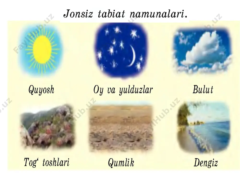 tabiat ochiq dars - Page 3